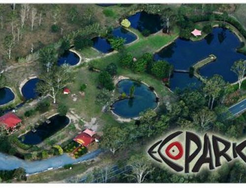 Ecopark Fishing World